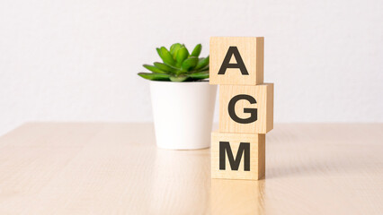 AGM - annual general meeting - acronym on wooden cubes on wooden backround. business concept