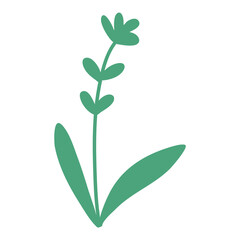 Garden grass with cute flowers