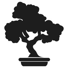 bonsai tree