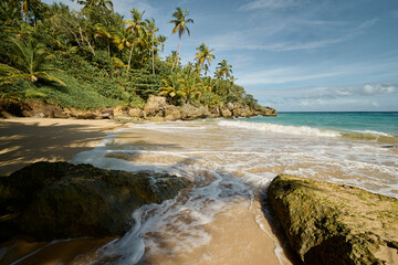 Fototapeta na wymiar Playa del Caribe Dominicano