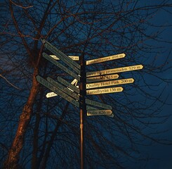 signpost in the park