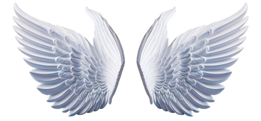 White angel wing isolated on a transparent background for design