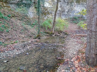 Tranquil Autumn Park Creek