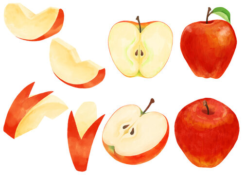 水彩画のリンゴのイラストセット／Illustration set of apples expressed in watercolor