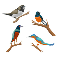 Various kinds of bird cartoon illustration set. magpie, river bird and sparrow sitting on a tree branch isolated on a white background.