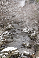 雪景色　寒い　冬
