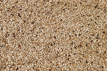  Close up of coffee beans for background                                                               