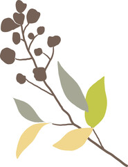 Watercolor leaf branch illustration