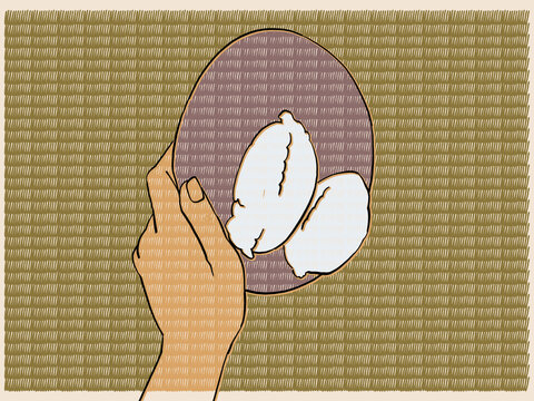 Aerial view Illustration of a hand carrying a plate of pap/inshima