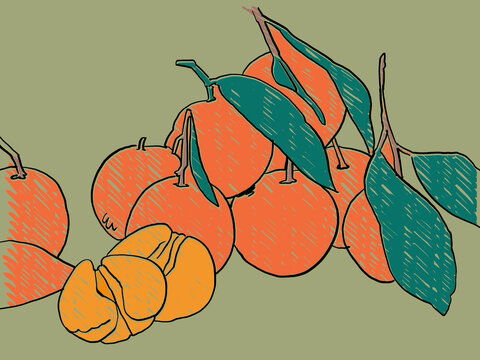 An Illustration of grapes