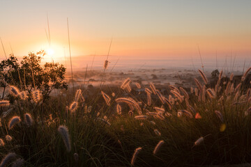 Sunrise and early morning fog in countryside from high view
