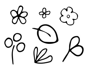 vector botanical elements black and white freehand drawing