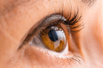 Naklejka premium Close up of brown eye with painted eyelashes. 