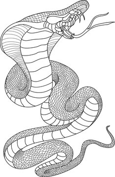 sticker snake tattoo style Cobra vector. snake cobra tattoo.Hand drawn Chinese snake. sticker snake cobra tattoo style Cobra vector. 