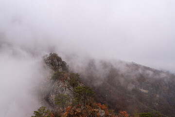 구봉산풍경(진안)