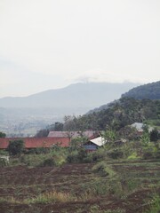 A view of the mountain that looks at the rice fields.
With silhouettes of rice plants and mountains in the background.