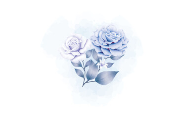 Plakat white rose on blue