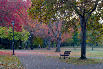 Autumn Park Bench 04