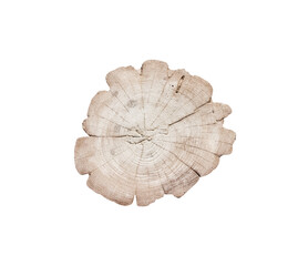 Old tree trunk woodgrain stump rings cut light brown texture top view with natural cracked patterns isolated on white background,clipping apth