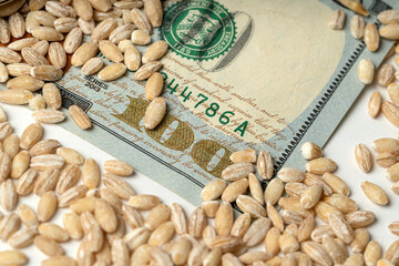 Grain of wheat with Ukrainian money scattered on the table. The concept of a fruitful year. Export and import of grain between countries