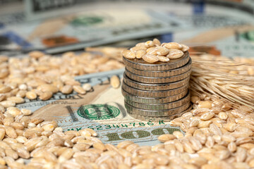 Grain of wheat with Ukrainian money scattered on the table. The concept of a fruitful year. Export and import of grain between countries
