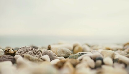 Pebble beach close up 