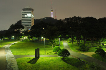View on N Seoul tower by night