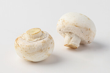 mushroom, toadstool, white mushroom, button mushroom isolated on white background