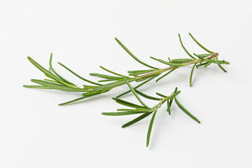Fototapeta premium rosemary, rosemary leaf, herb, herb leaf isolated on white background