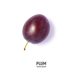 Ripe juicy plum isolated on white background. Top view