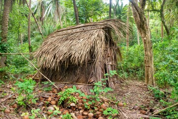 A temporary thatched hut, made out of dried palm fronds and wood, located in the jungle on Mindoro Island in the Philippines.