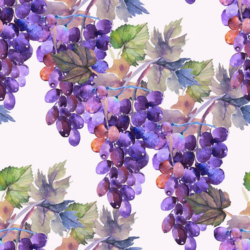 Watercolor pattern of grapes and leaves.Seamless pattern.Image on white and colored background.