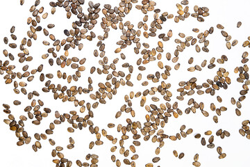 Watermelon seeds on a white background. Seed Pattern. Food concept.