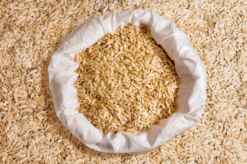 Cucumber seeds in a bag. Background. Seed in large quantities for sowing and storage in a warehouse.