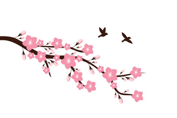 Cherry blossom branch with sakura flower Wall decoration Concept. Bird on branch wall decoration sticker design vector illustration