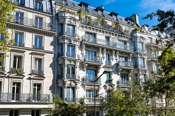 Fototapeta premium Paris, ancient buildings avenue Daumesnil, typical facades and windows 