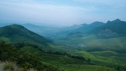Fototapeta na wymiar Landscape of Munnar, Kerala, India