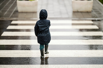 Back view of a little boy crossing the crosswalk on the road on rainy weather. - obrazy, fototapety, plakaty