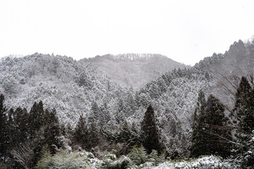 雪景色　積雪　山　自然