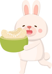 Cute rabbit mascot character with pomelo, celebrating mid-autumn festival