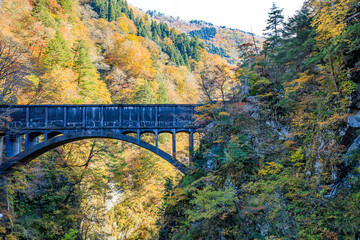 Fototapeta premium 秋の黒部峡谷 水路橋 富山県黒部市 Kurobe Gorge in Autumn. aqueduct. Toyama Prefecture Kurobe city.