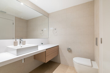 Interior of modern spacious bathroom with large mirror, white toilet and wooden furniture.