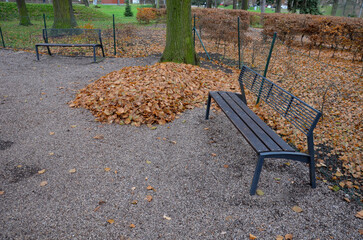 raking leaves on piles. the leaves are taken to a composting plant or to a community composter....