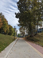 path in autumn town