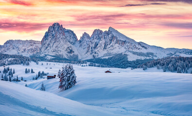Untouched winter landscape. Frosty winter view of Alpe di Siusi village with Plattkofel peak on background. Stunning sunrise in Dolomite Alps, Ityaly, Europe. Beauty of nature concept background.. - obrazy, fototapety, plakaty