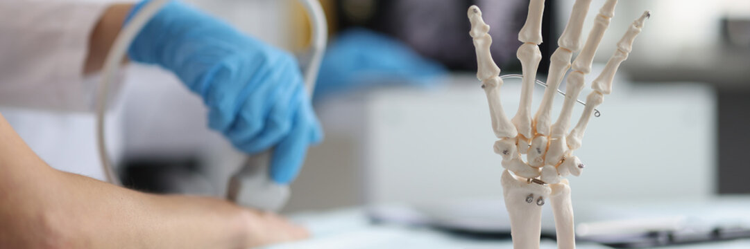 Doctor do ultrasound of hand, skeleton hand model on desk, medical anatomy science