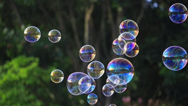 Soap bubbles floating in the air with natural green blurred bokeh background for children and kids in the park