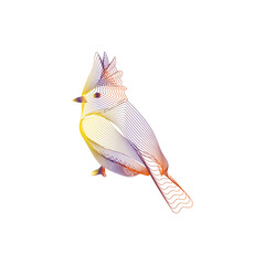 bird of paradise Blue Jay Blend Cover Title Image Icon Mark Illustration