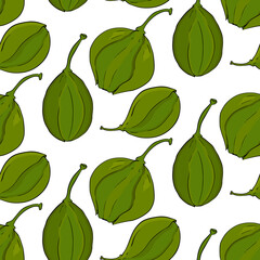 Capers seamless pattern. Vegetarian delicious. Eco organic food.