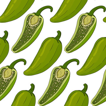 Chilli Pepper vector seamless pattern, isolated on white background.